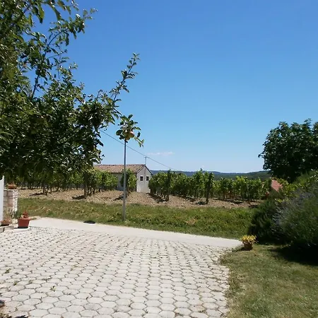 Апартаменты Apartment Verem 1029 Vizinada